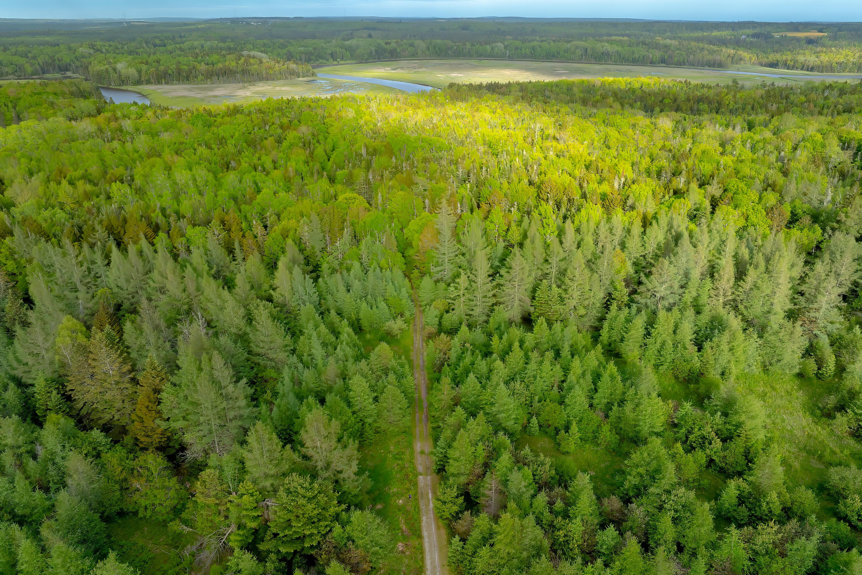 126 Point Street Columbia Falls, ME 04623 - Photo 17 of 31 126PointStreet_DTP_017