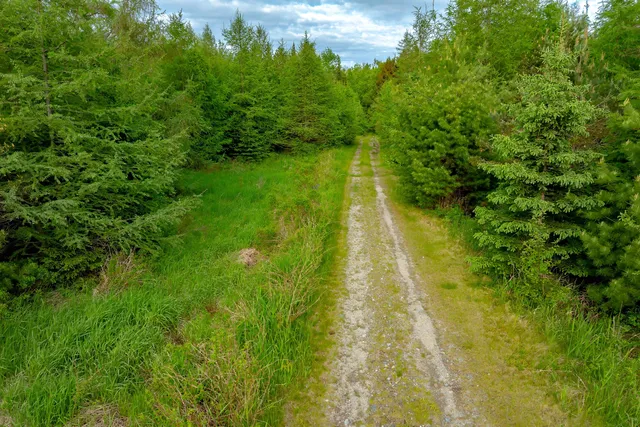 $350,000 | 126 Point Street, Columbia Falls, ME 04623