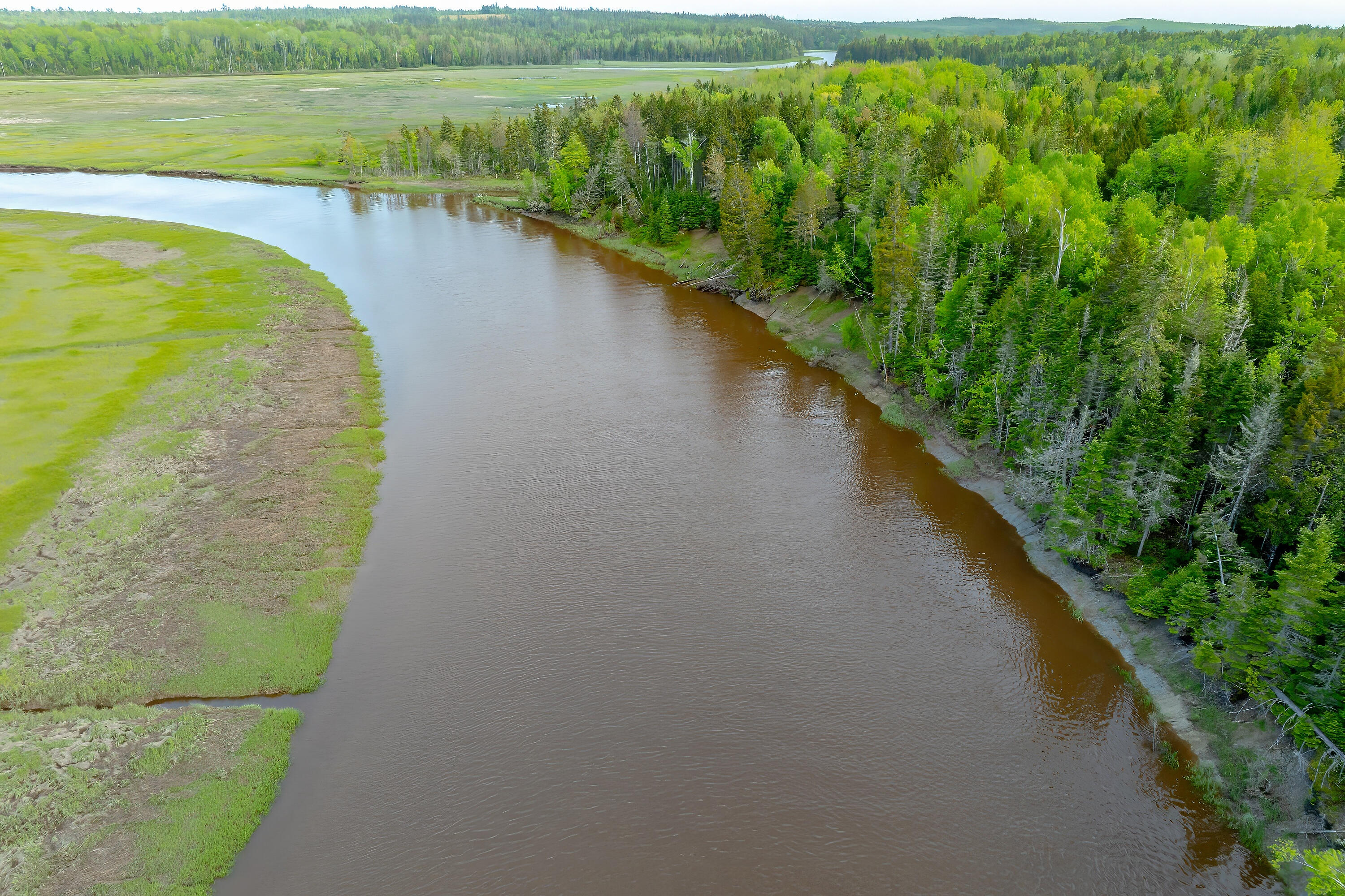 126 Point Street Columbia Falls, ME 04623 - Photo 7 of 31 126PointStreet_DTP_007