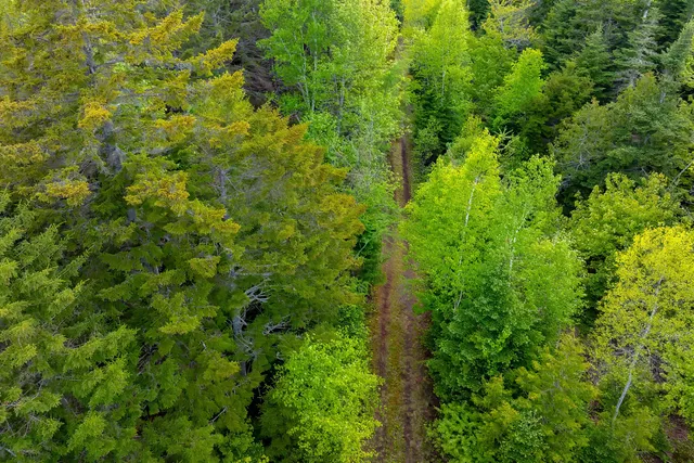 $350,000 | 126 Point Street, Columbia Falls, ME 04623