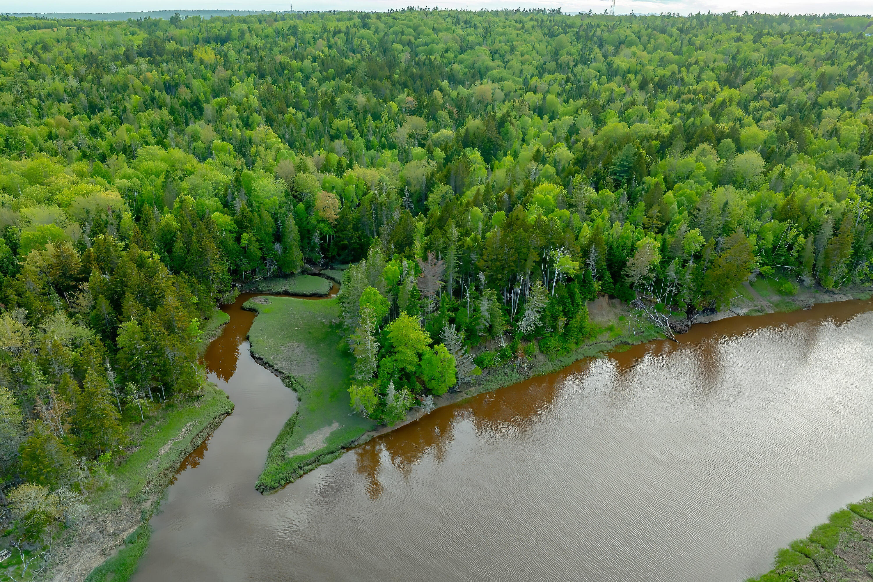 126 Point Street Columbia Falls, ME 04623 - Photo 10 of 31 126PointStreet_DTP_010