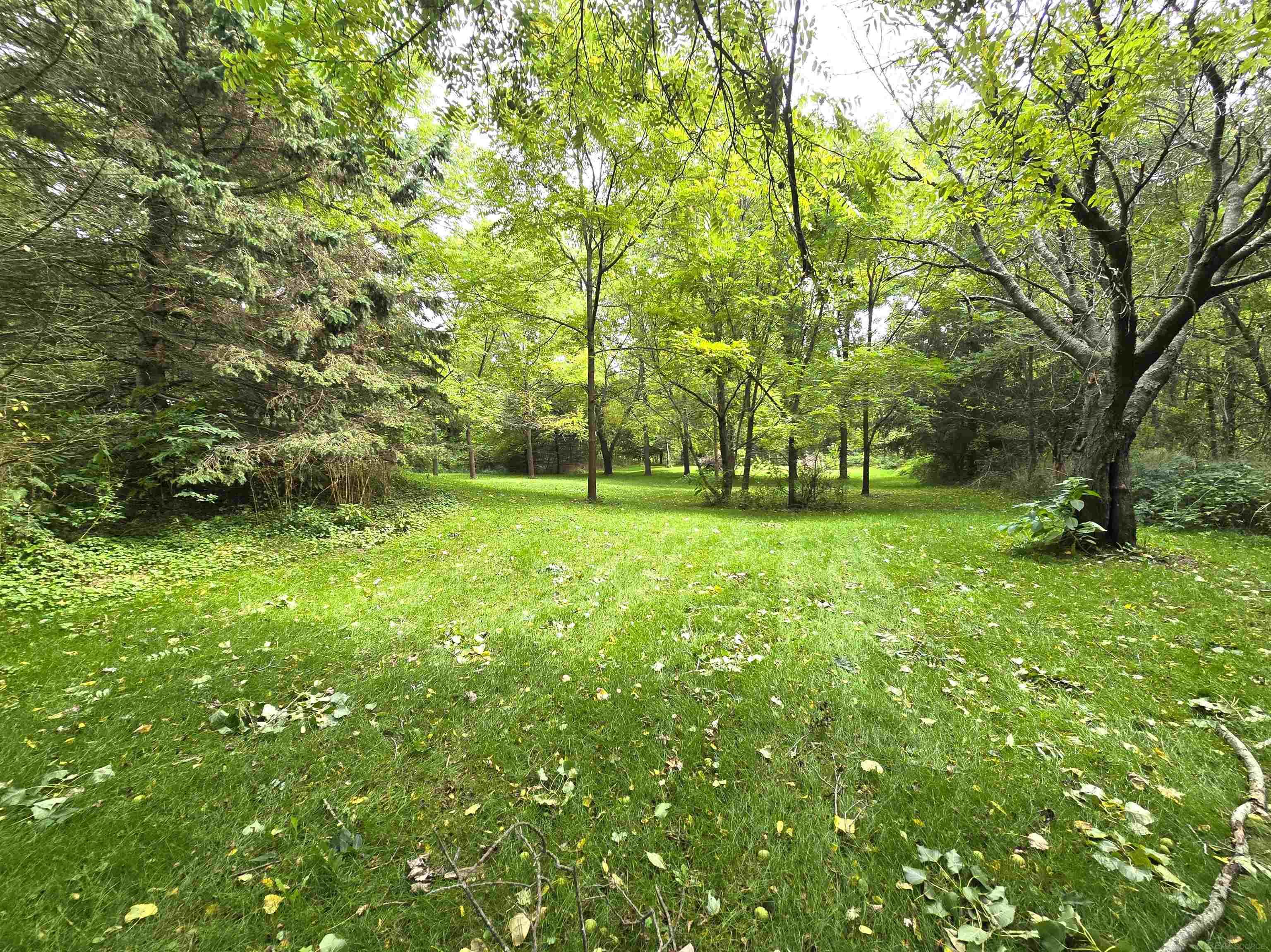 4883 Rochester Road Dryden, MI 48428 - Photo 11 of 87