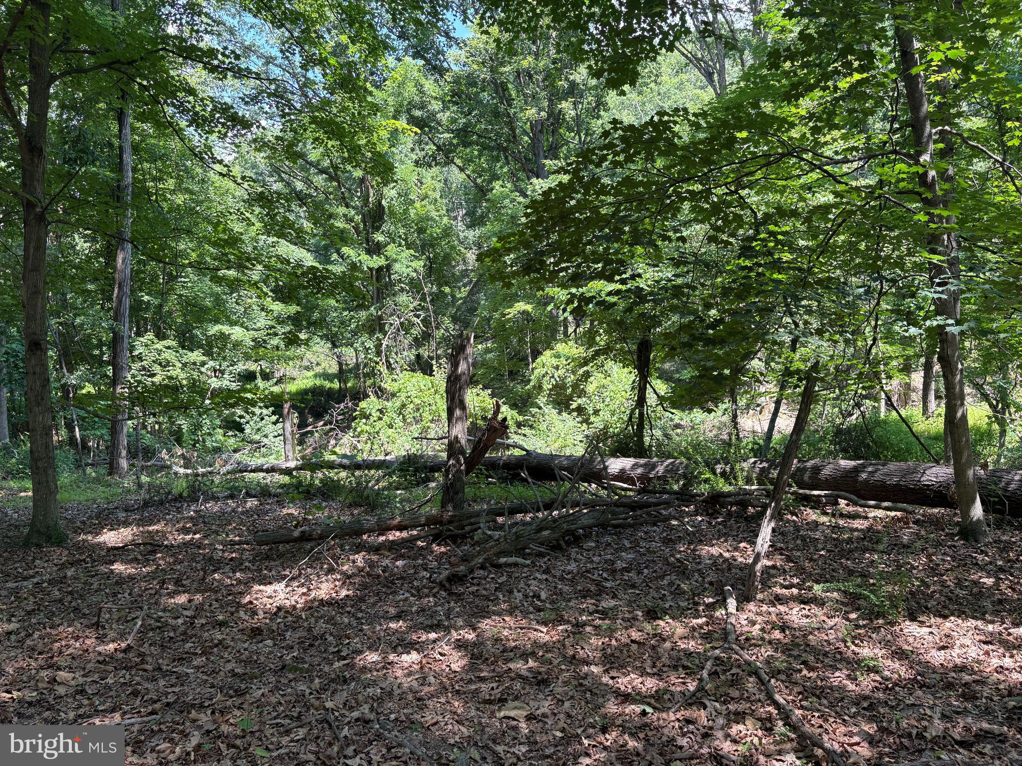 16 Rolling Acres Road Old Fields, WV 26845 - Photo 7 of 21
