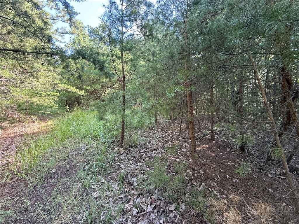 Lot 24 Wolf Pen Road Purlear, NC 28665 - Photo 17 of 42 Gallery Image 17