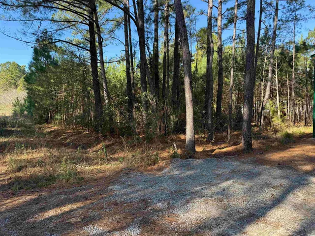 $24,900 | 7 Orange Blossom Street, Andrews, SC 29510