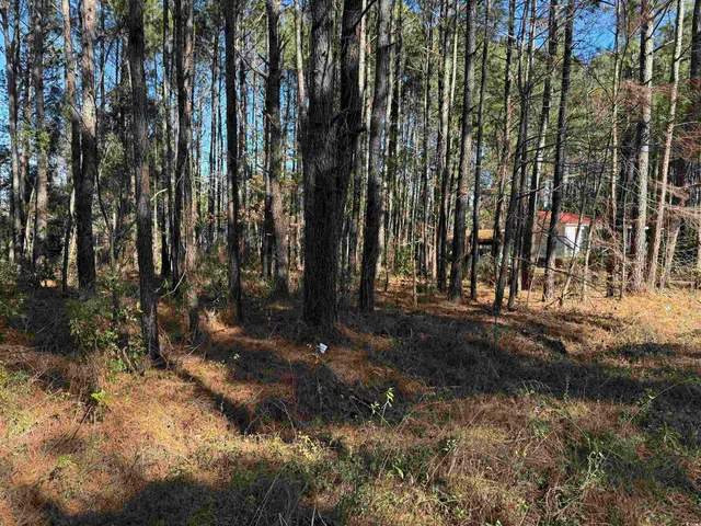 $24,900 | 7 Orange Blossom Street, Andrews, SC 29510