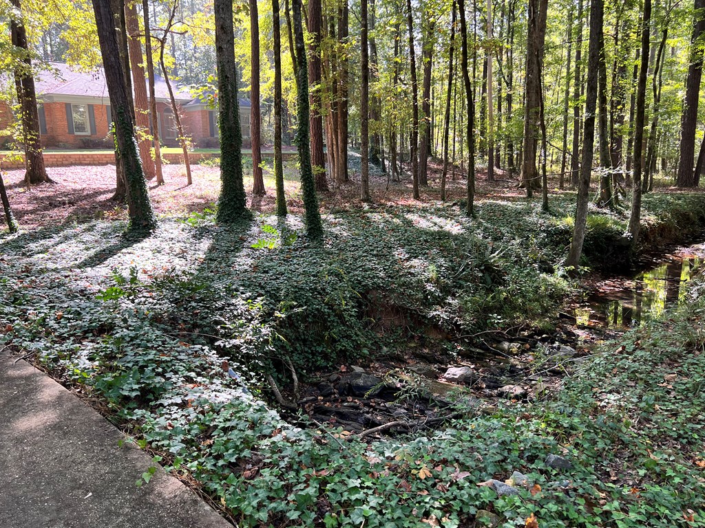 488 Blue Bird Trail Fortson, GA 31808 - Photo 3 of 45 a green field with lots of trees