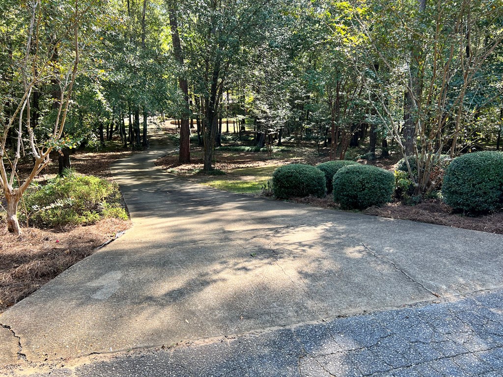 488 Blue Bird Trail Fortson, GA 31808 - Photo 4 of 45 a view of a park with large trees