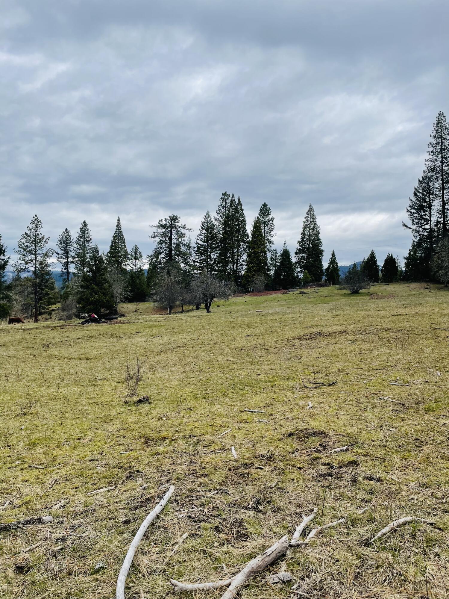 15000 Elk Creek Road Trail, OR 97541 - Photo 43 of 48 B89109A0-0794-4521-BDF0-4C67C7AF3F5F