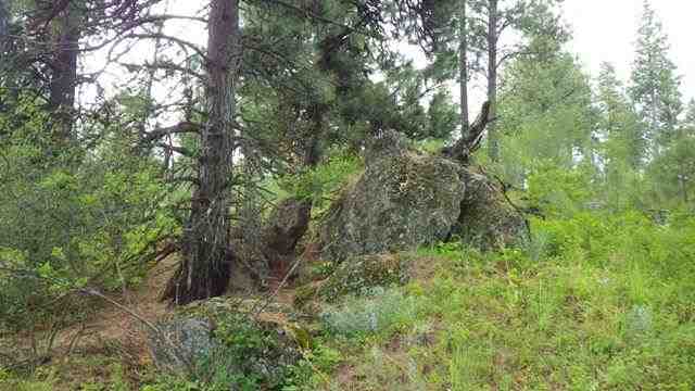 0 South Jamieson Road Spokane, WA 99223 - Photo 1 of 7 Gallery Image 1