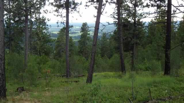 0 South Jamieson Road Spokane, WA 99223 - Photo 4 of 7 Gallery Image 4