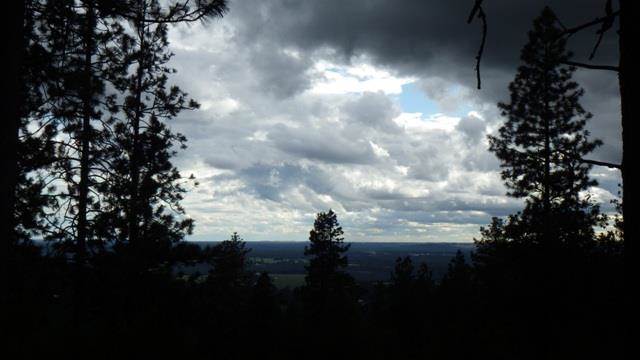 0 South Jamieson Road Spokane, WA 99223 - Photo 5 of 7 Gallery Image 5