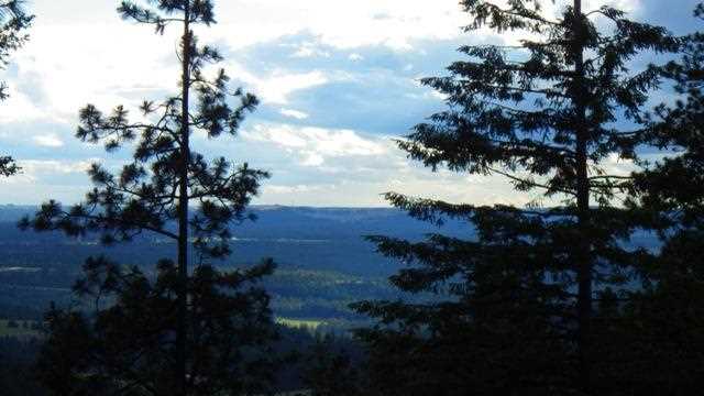 0 South Jamieson Road Spokane, WA 99223 - Photo 6 of 7 Gallery Image 6