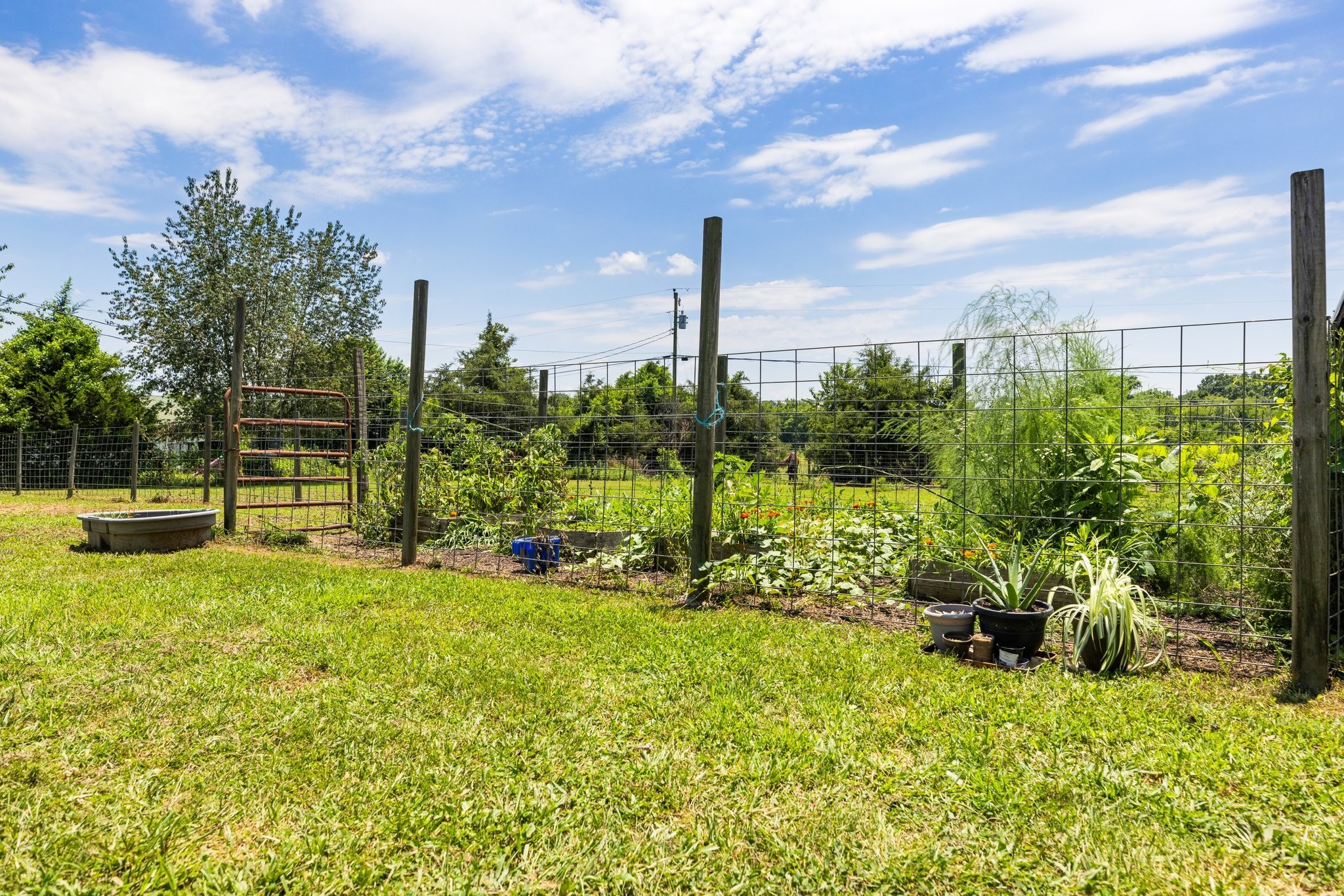 1251 Hazelwood Road Columbia, TN 38401 - Photo 44 of 80