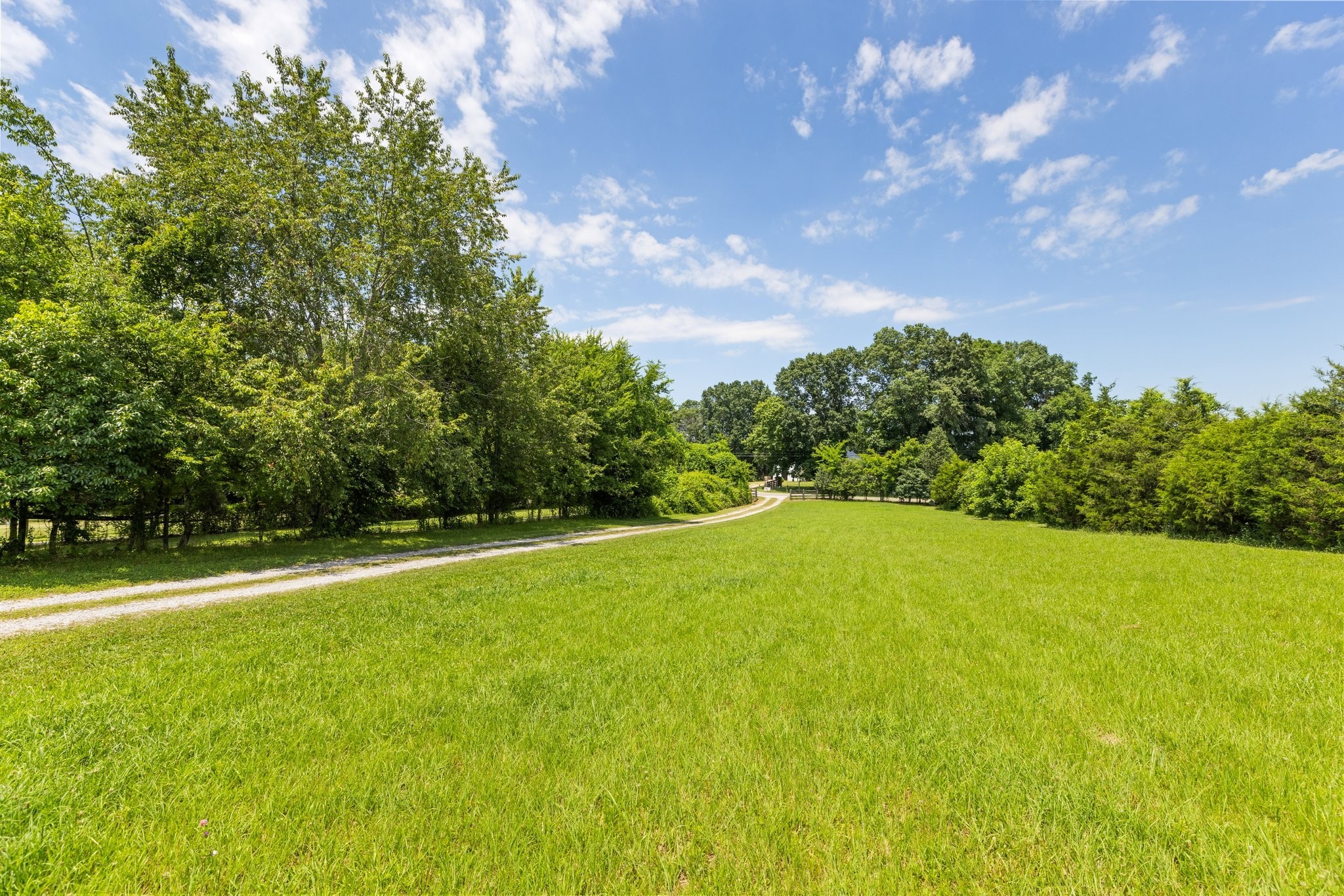 1251 Hazelwood Road Columbia, TN 38401 - Photo 63 of 80