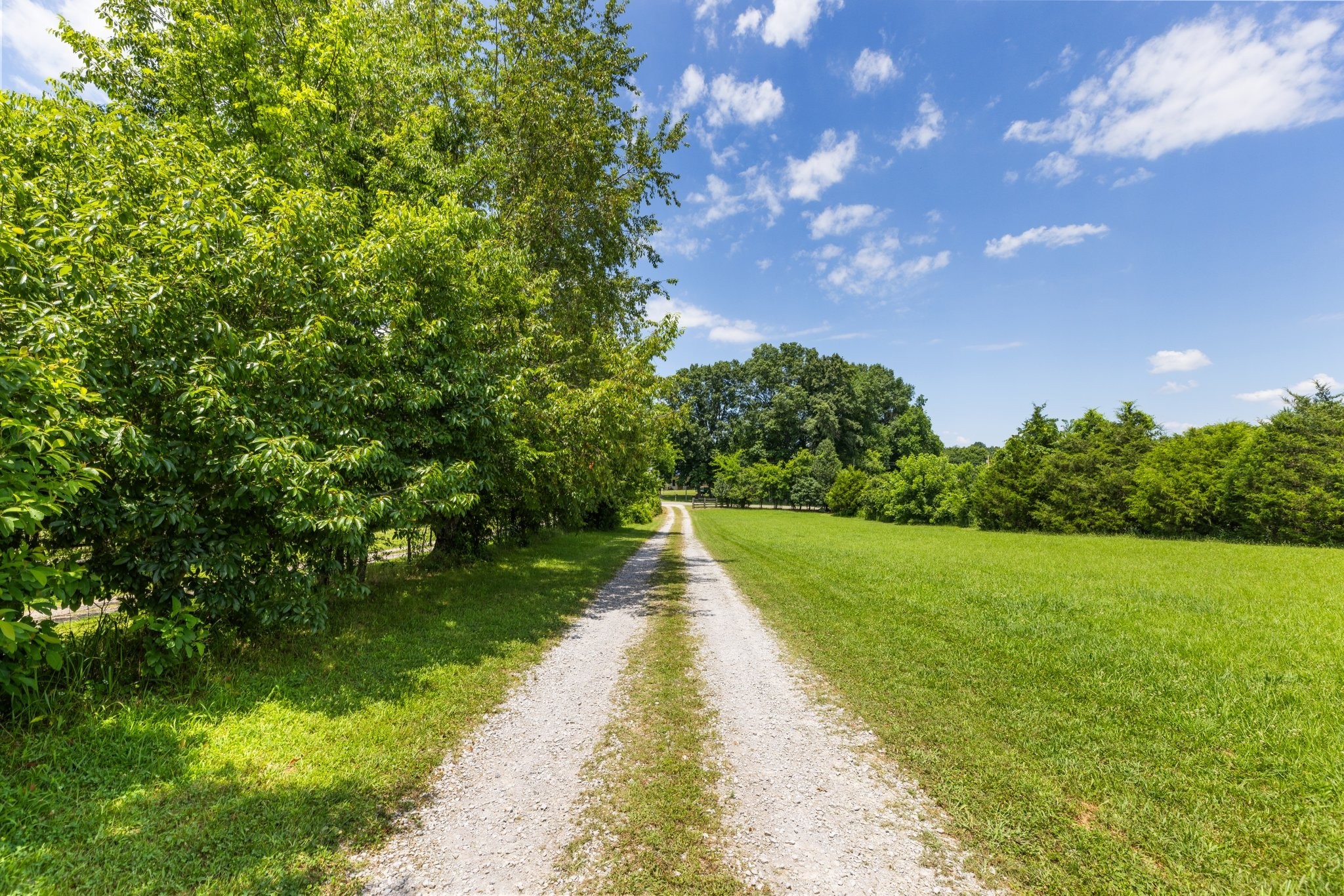 1251 Hazelwood Road Columbia, TN 38401 - Photo 64 of 80