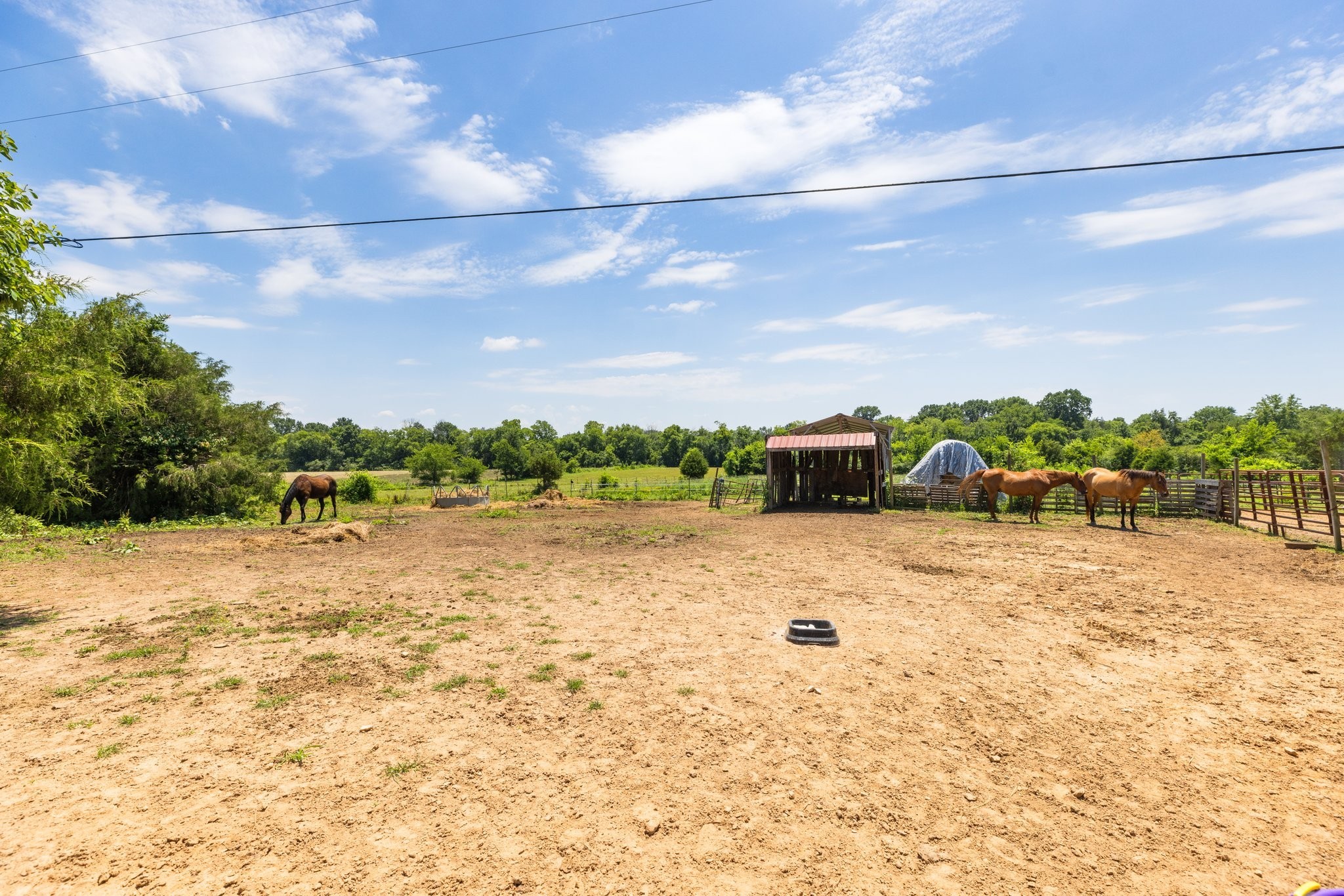 1251 Hazelwood Road Columbia, TN 38401 - Photo 68 of 80