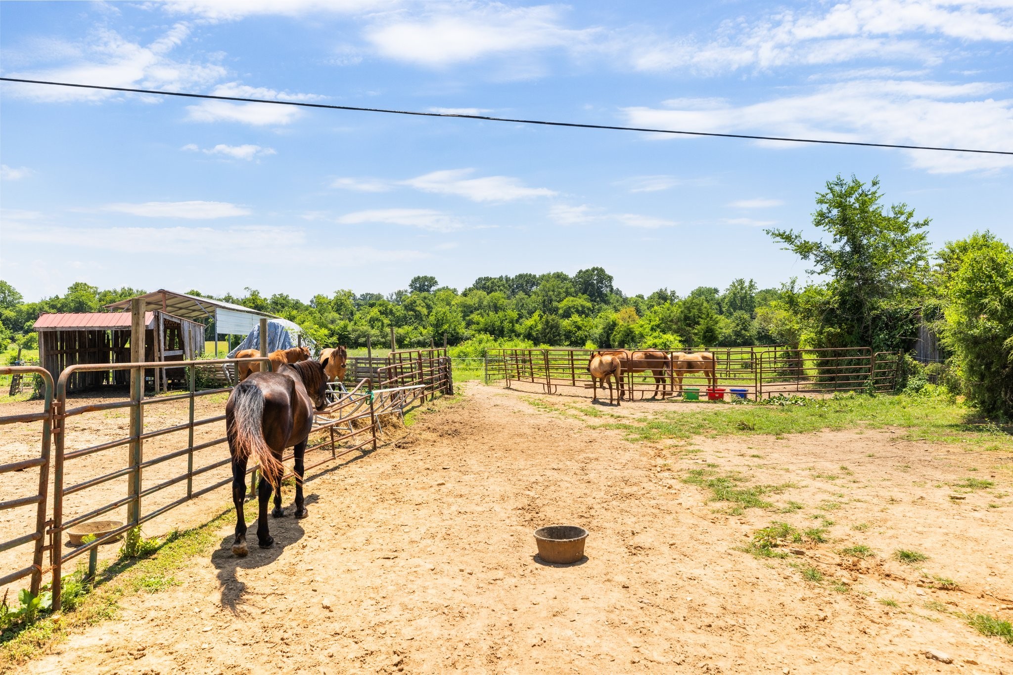 1251 Hazelwood Road Columbia, TN 38401 - Photo 69 of 80