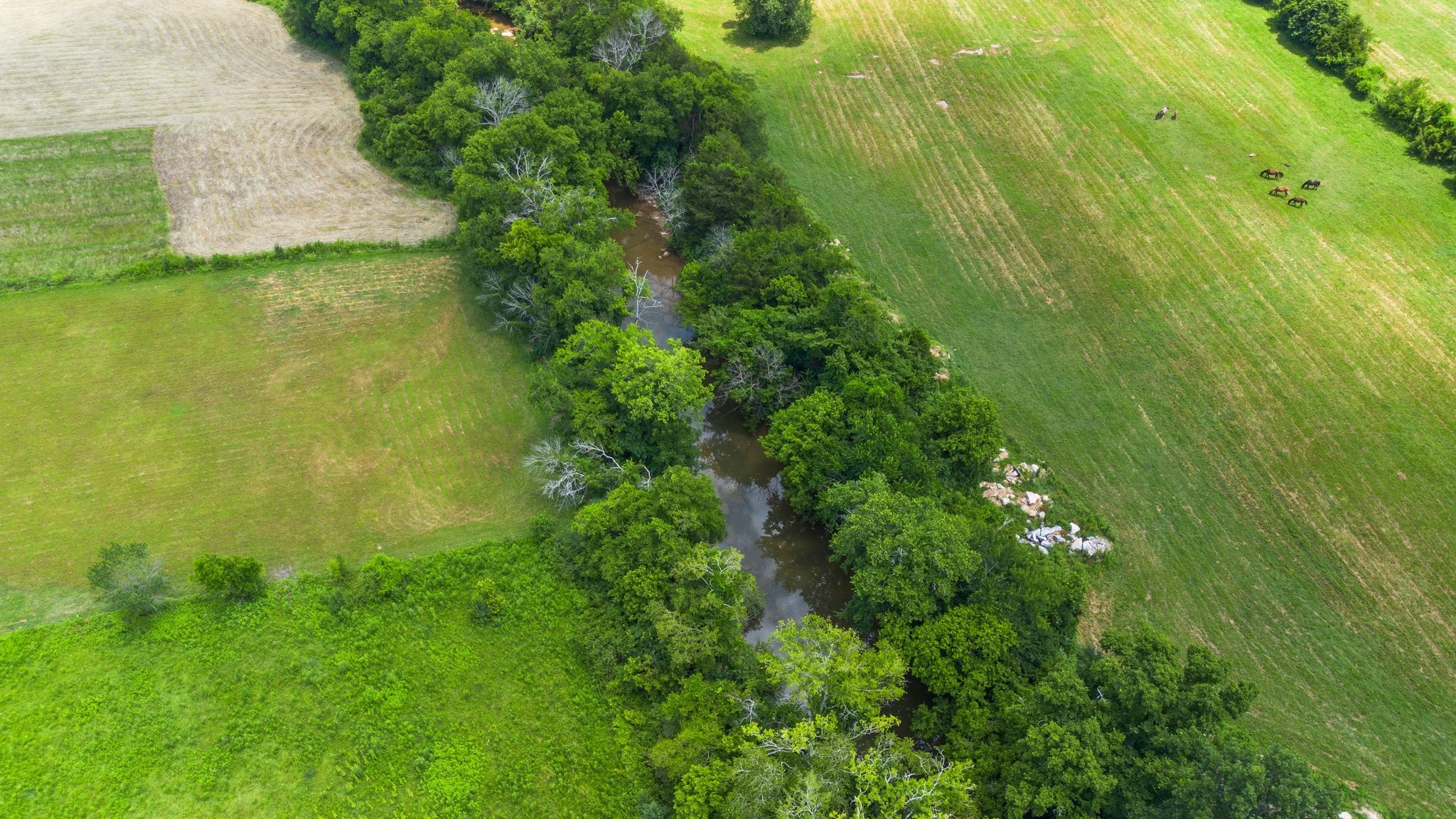 1251 Hazelwood Road Columbia, TN 38401 - Photo 70 of 80