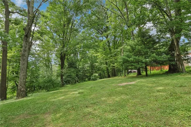 a big yard with lots of green space and trees