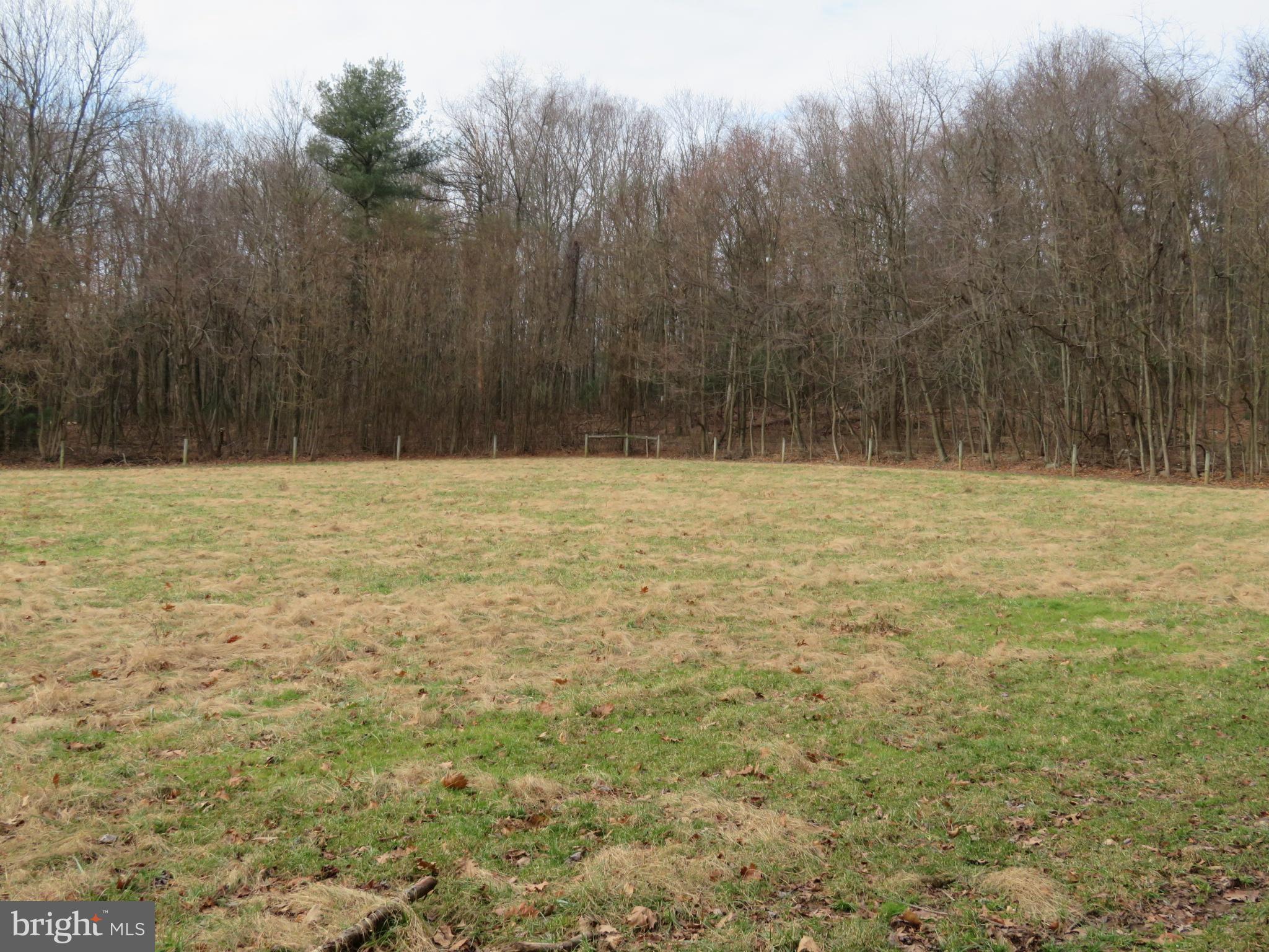 0 Mill Road Dornsife, PA 17823 - Photo 2 of 5