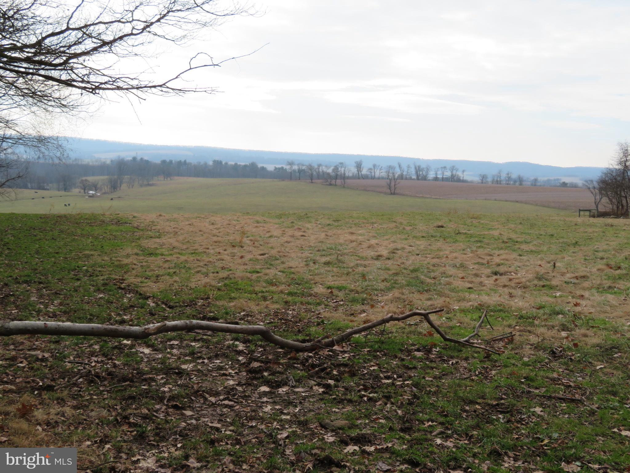 0 Mill Road Dornsife, PA 17823 - Photo 5 of 5