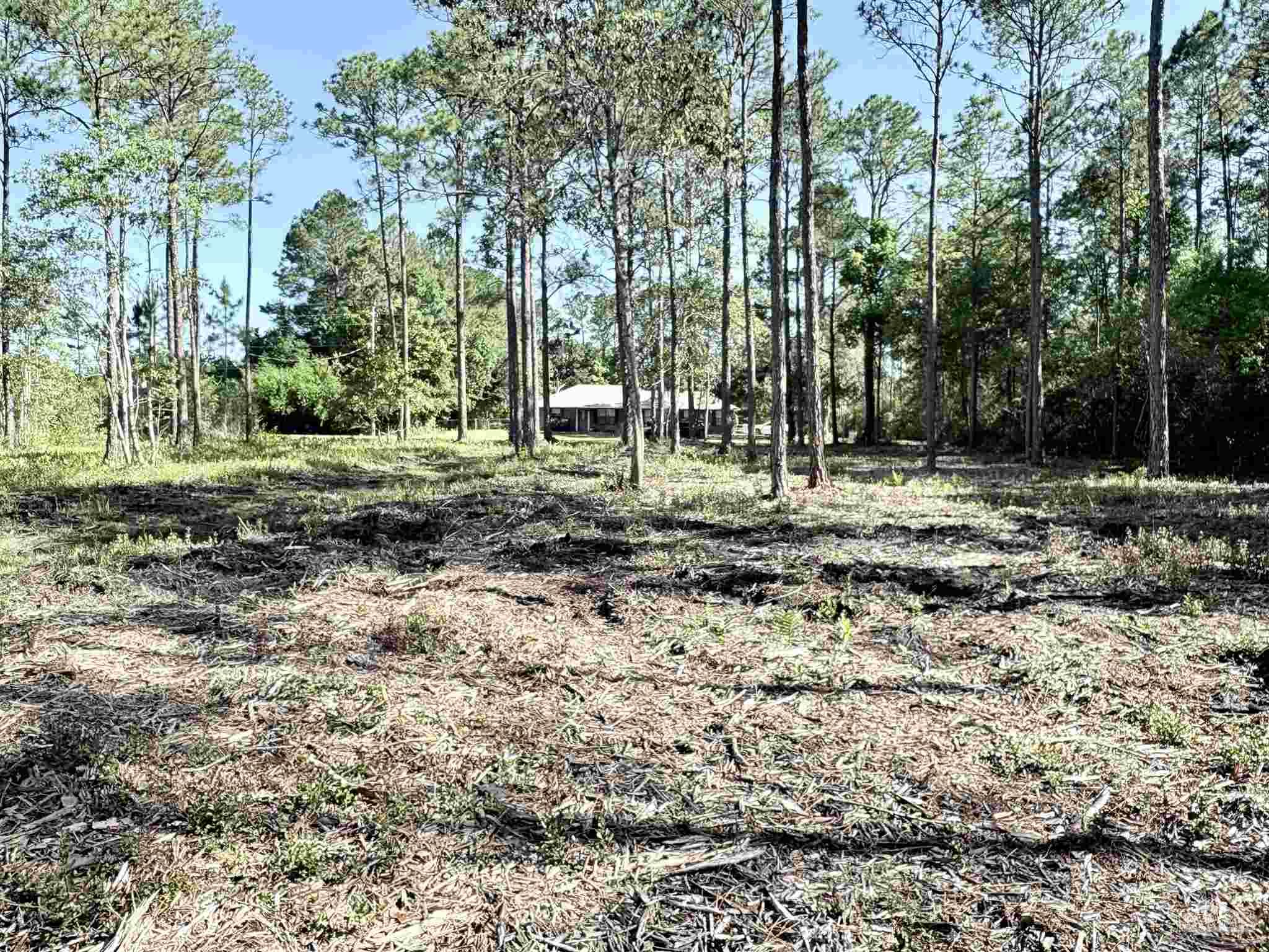 Del Monte Street Milton, FL 32583 - Photo 15 of 18