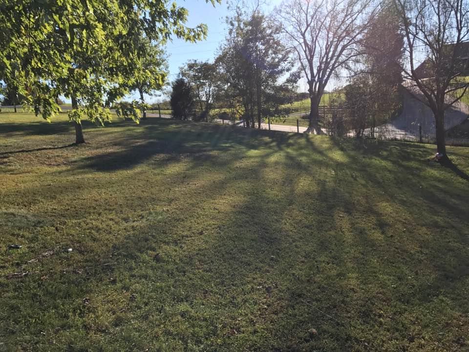 1469 Berea Church Road Lebanon, TN 37087 - Photo 2 of 10 Large front yard! Great location!
