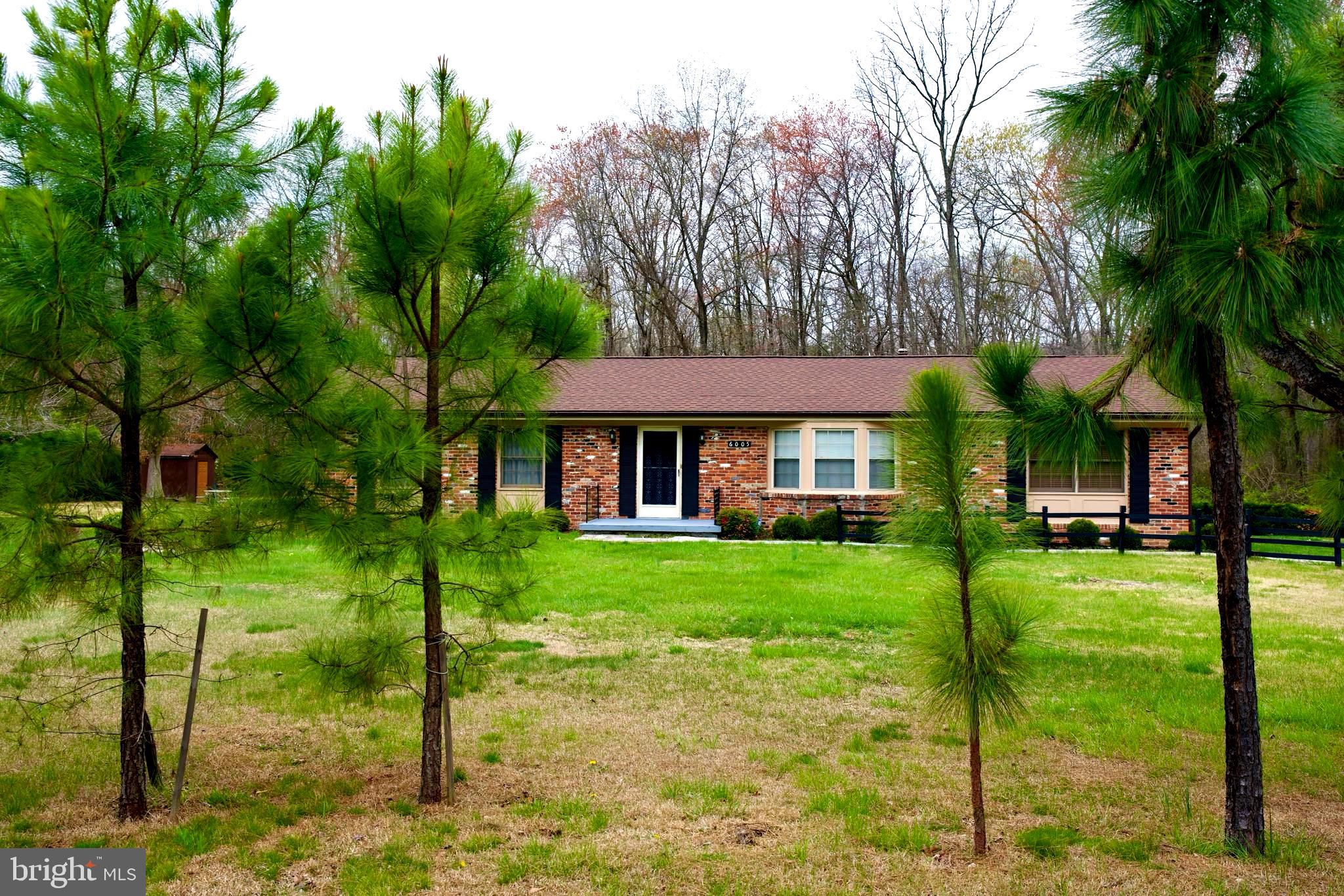 6005 Bumpy Oak Road La Plata, MD 20646 - Photo 2 of 34 Beautiful Large Front Yard