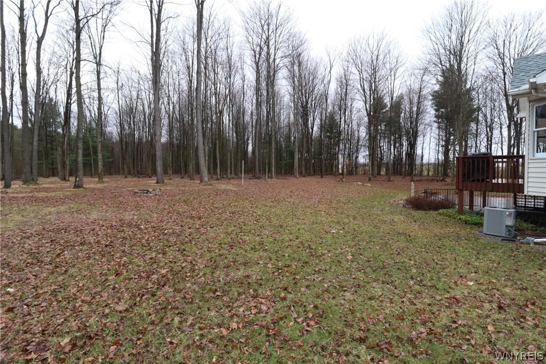 13869 Henskee Road Alden, NY 14004 - Photo 39 of 40