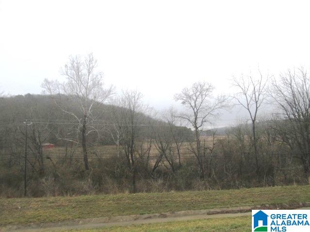 0 Spunky Hollow Road, Unit 98 ACRES Remlap, AL 35133 - Photo 1 of 4