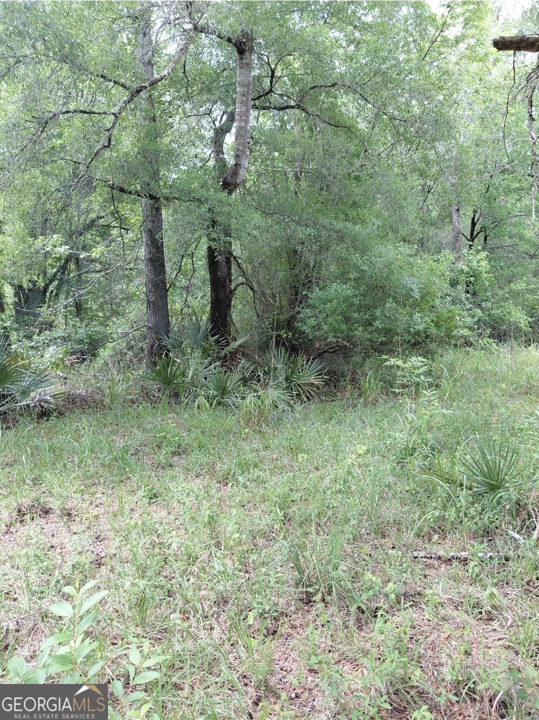 436 Russell Boulevard St. George, GA 31562 - Photo 15 of 33