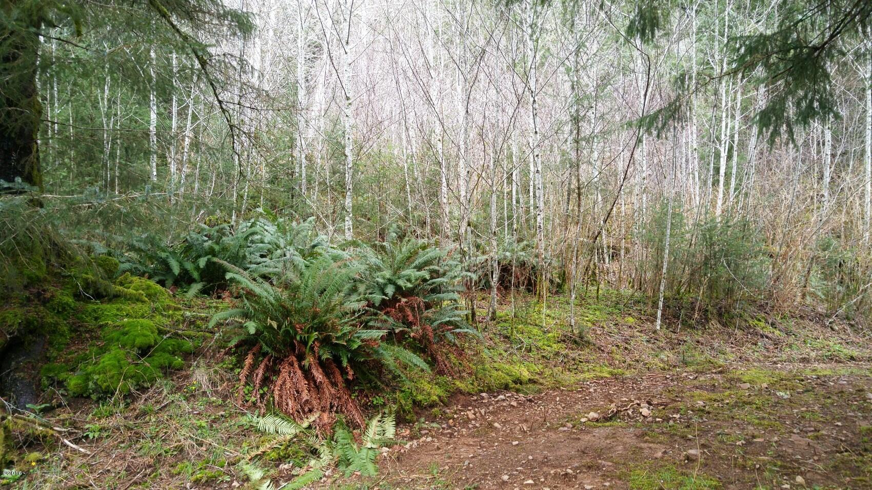 Tl202 Little Nestucca River Road Hebo, OR 97122 - Photo 7 of 10 6