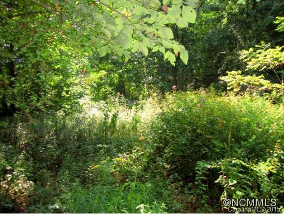 0 Woods Road Fairview, NC 28730 - Photo 1 of 1 Gallery Image 1