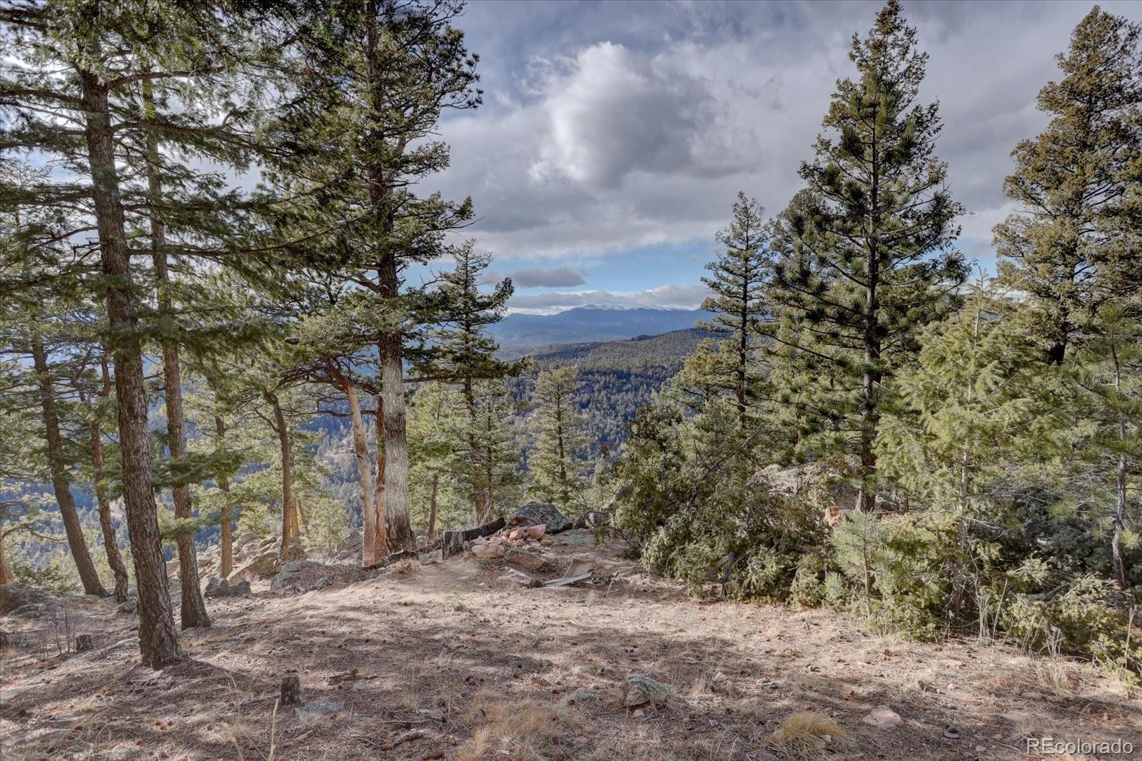 13391 Callae Drive Conifer, CO 80433 - Photo 44 of 49