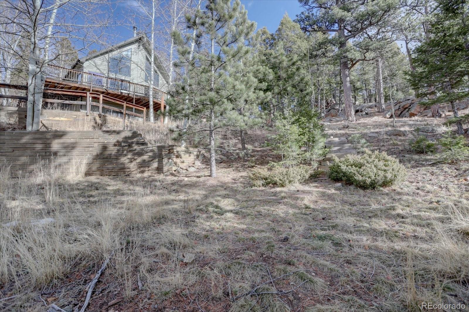 13391 Callae Drive Conifer, CO 80433 - Photo 45 of 49