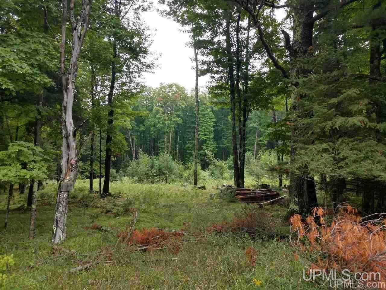 5-acres Co Rd Sa Cornell, MI 49818 - Photo 1 of 27