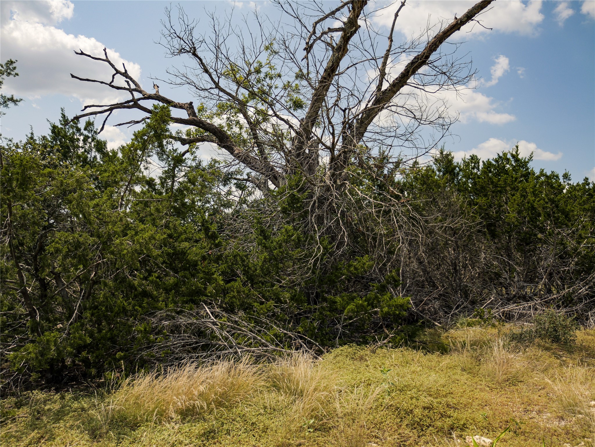39 Buckskin Path Fredericksburg, TX 78624 - Photo 12 of 23 a view of a yard