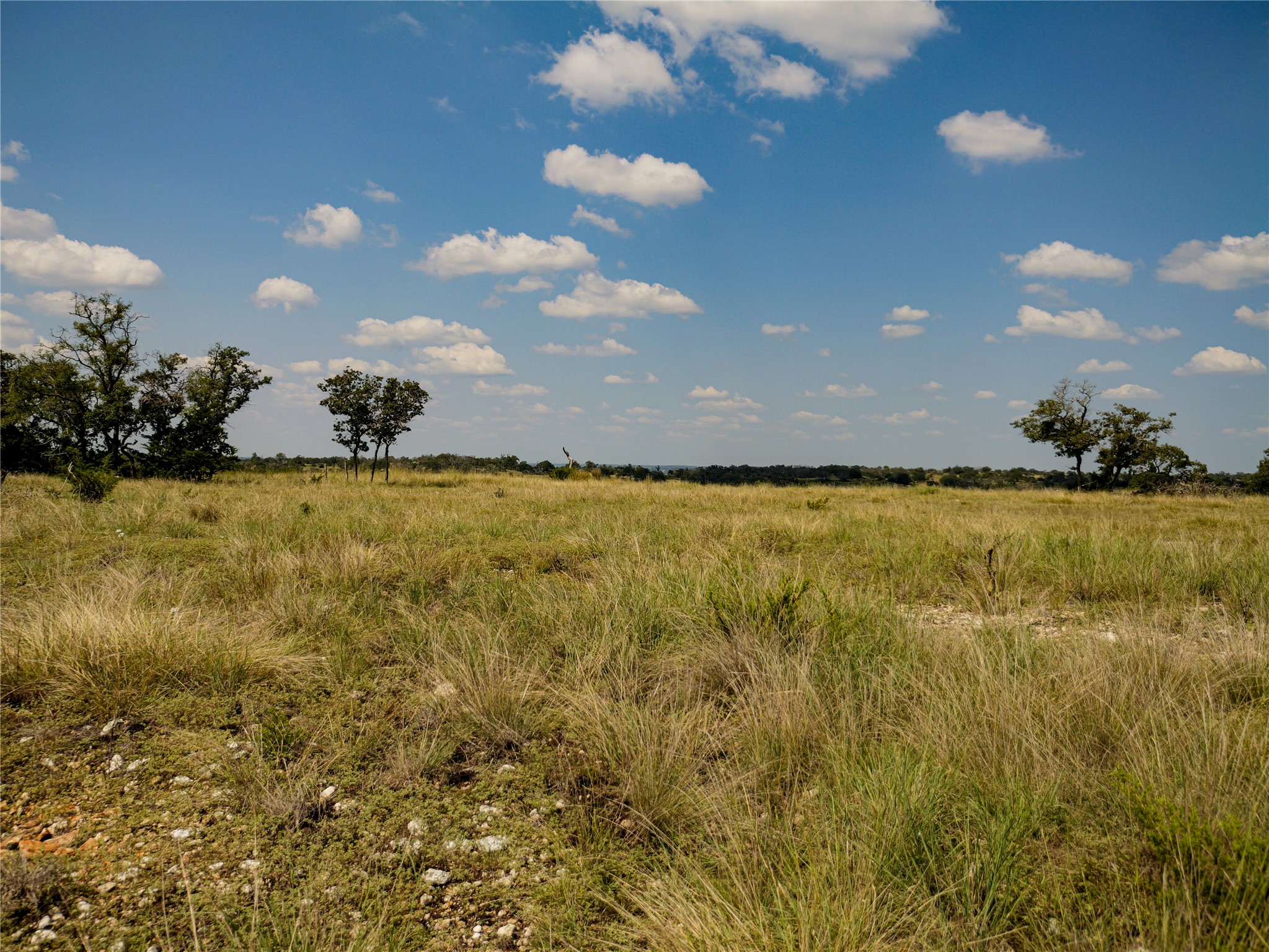 39 Buckskin Path Fredericksburg, TX 78624 - Photo 18 of 23 a view of a lake view