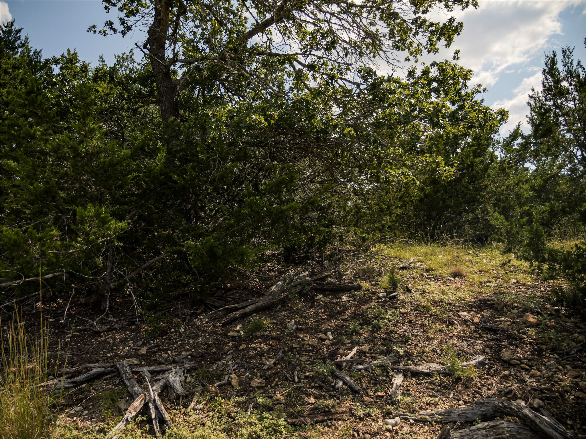 39 Buckskin Path Fredericksburg, TX 78624 - Photo 20 of 23 a view of a yard