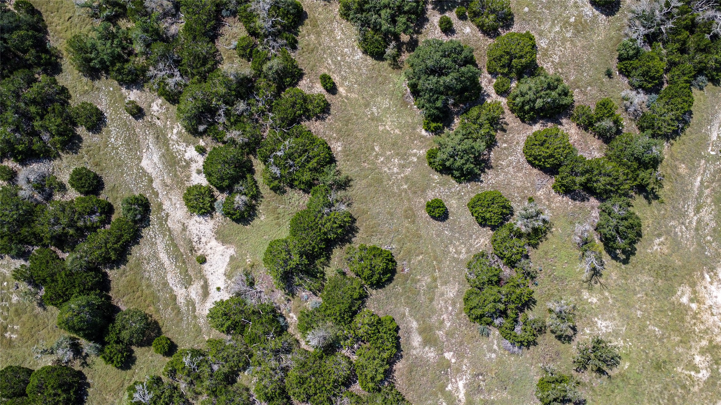 39 Buckskin Path Fredericksburg, TX 78624 - Photo 4 of 23 an aerial view of a house with a yard