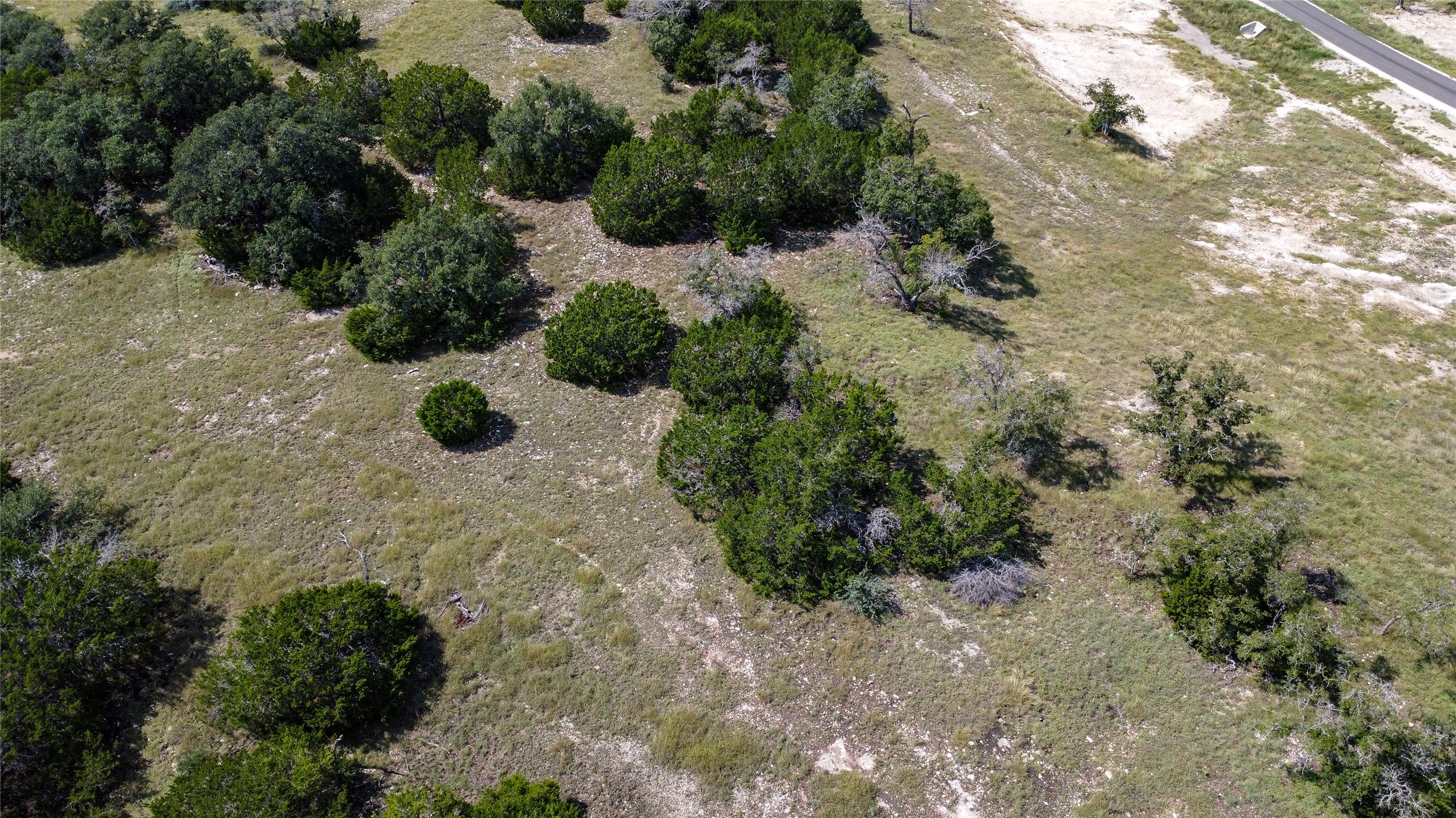 39 Buckskin Path Fredericksburg, TX 78624 - Photo 5 of 23 a view of outdoor space with trees all around