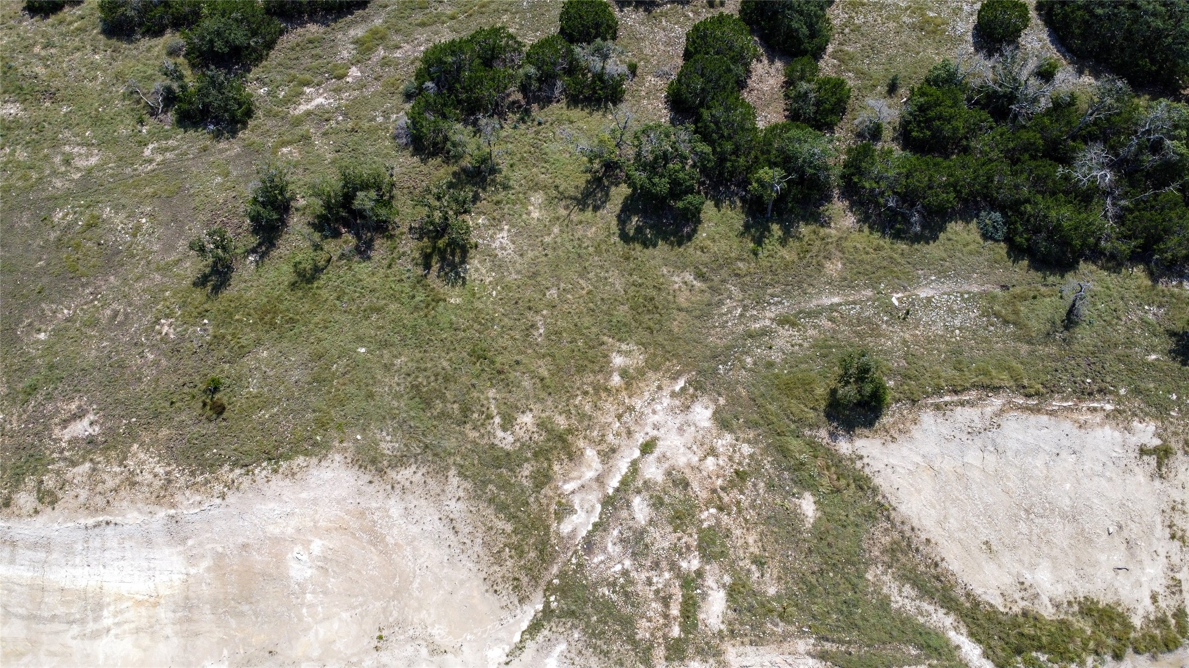 39 Buckskin Path Fredericksburg, TX 78624 - Photo 6 of 23 a view of a yard with a tree