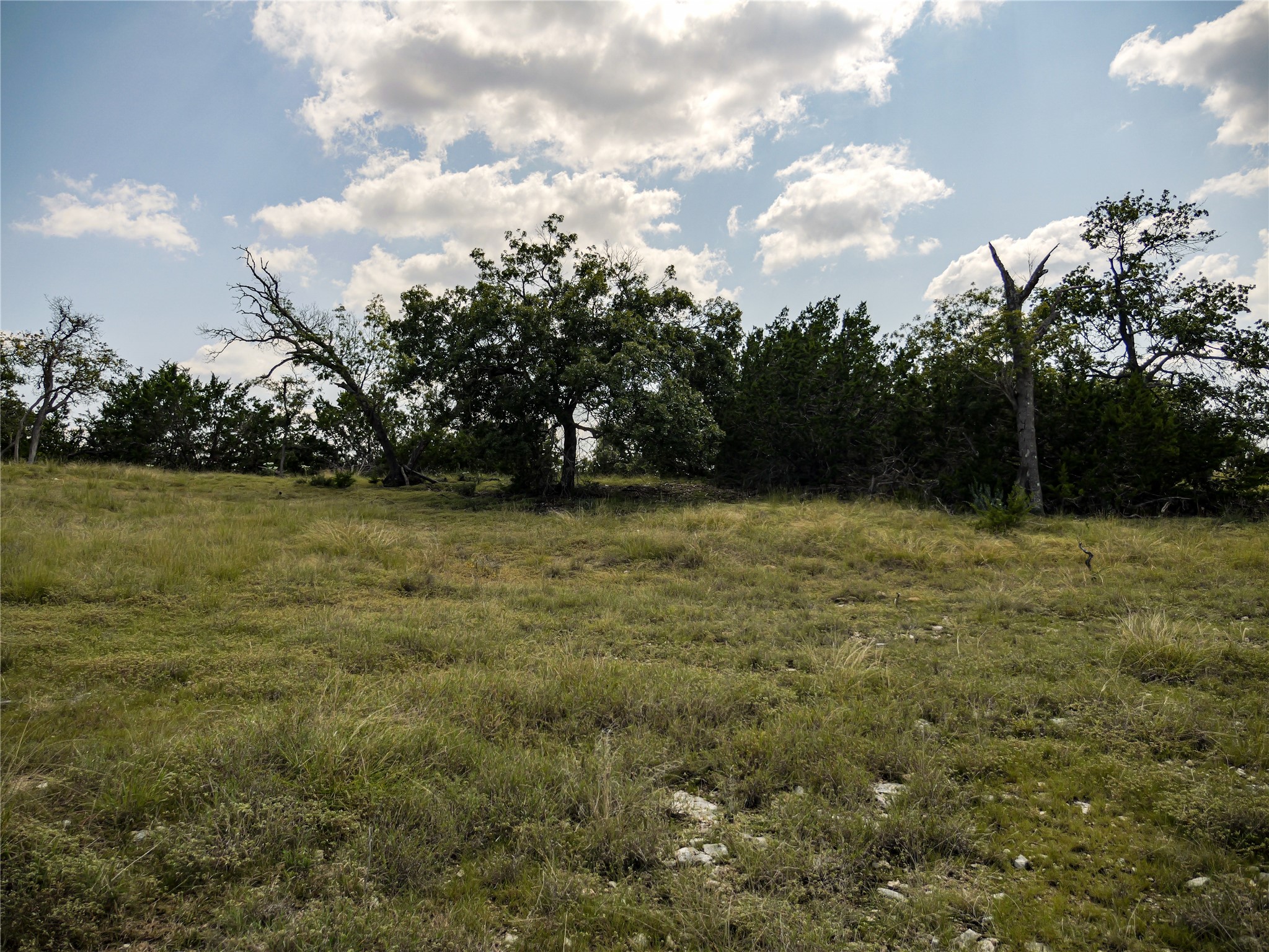 39 Buckskin Path Fredericksburg, TX 78624 - Photo 7 of 23 a view of a field of grass and trees