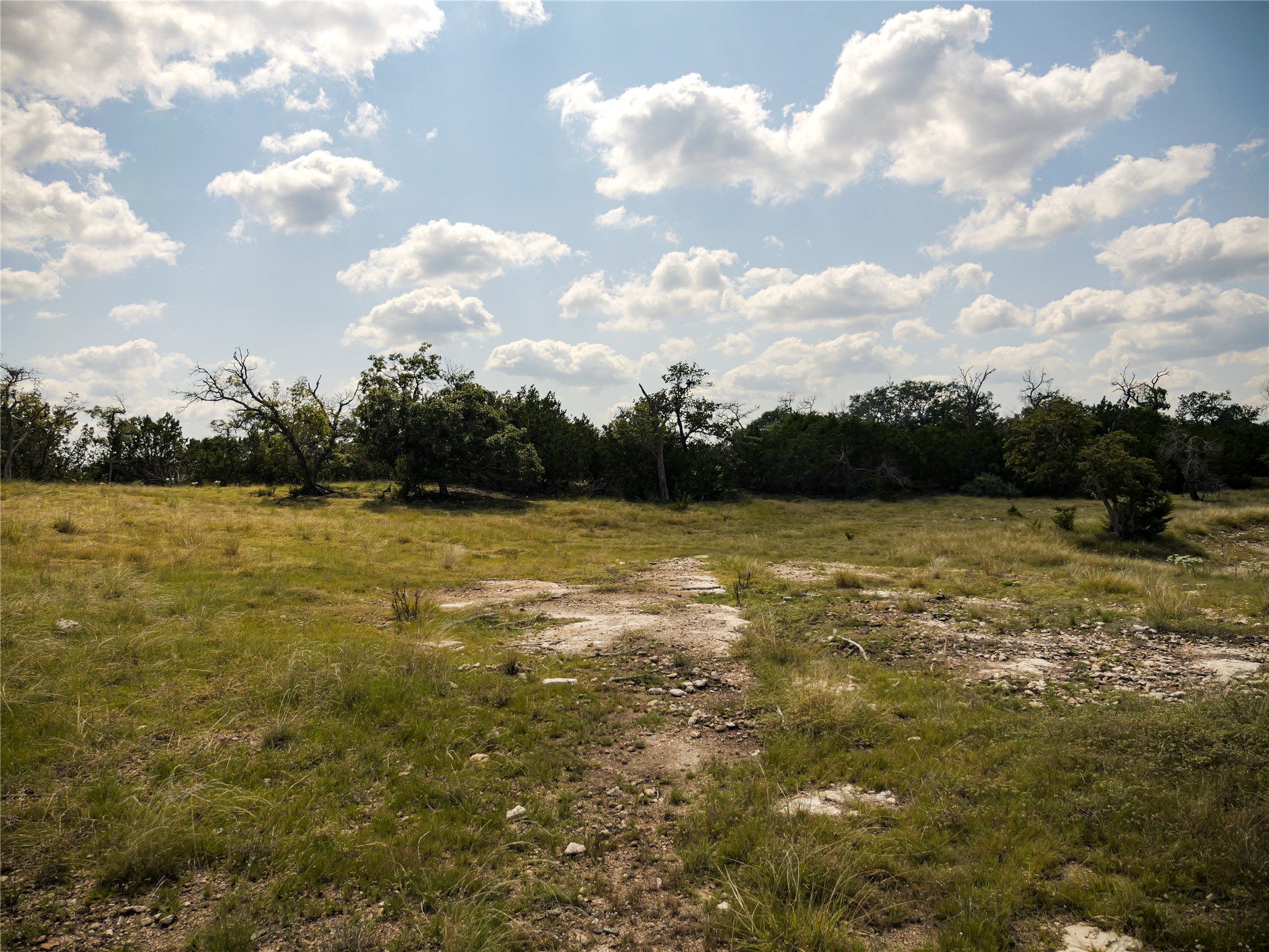 39 Buckskin Path Fredericksburg, TX 78624 - Photo 8 of 23