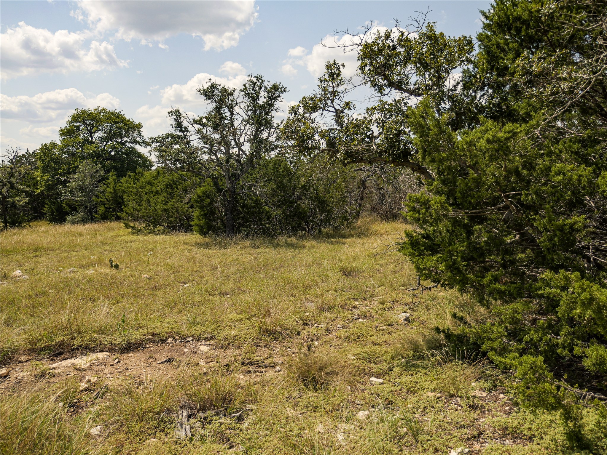 39 Buckskin Path Fredericksburg, TX 78624 - Photo 10 of 23 a view of a yard with a tree