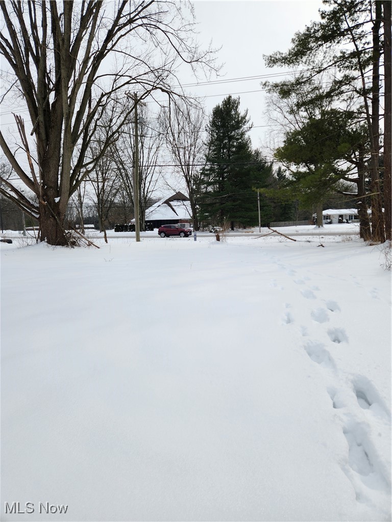 Royalton Road Columbia Station, OH 44028 - Photo 11 of 13 View of yard layered in snow
