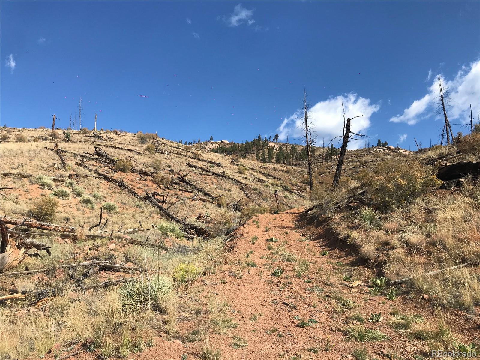 0 Cochise Trail Pine, CO 80470 - Photo 3 of 10