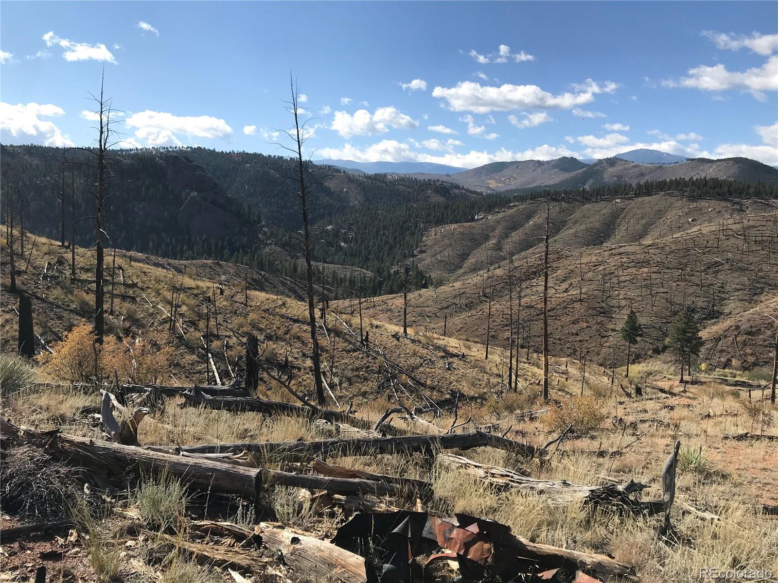 0 Cochise Trail Pine, CO 80470 - Photo 4 of 10