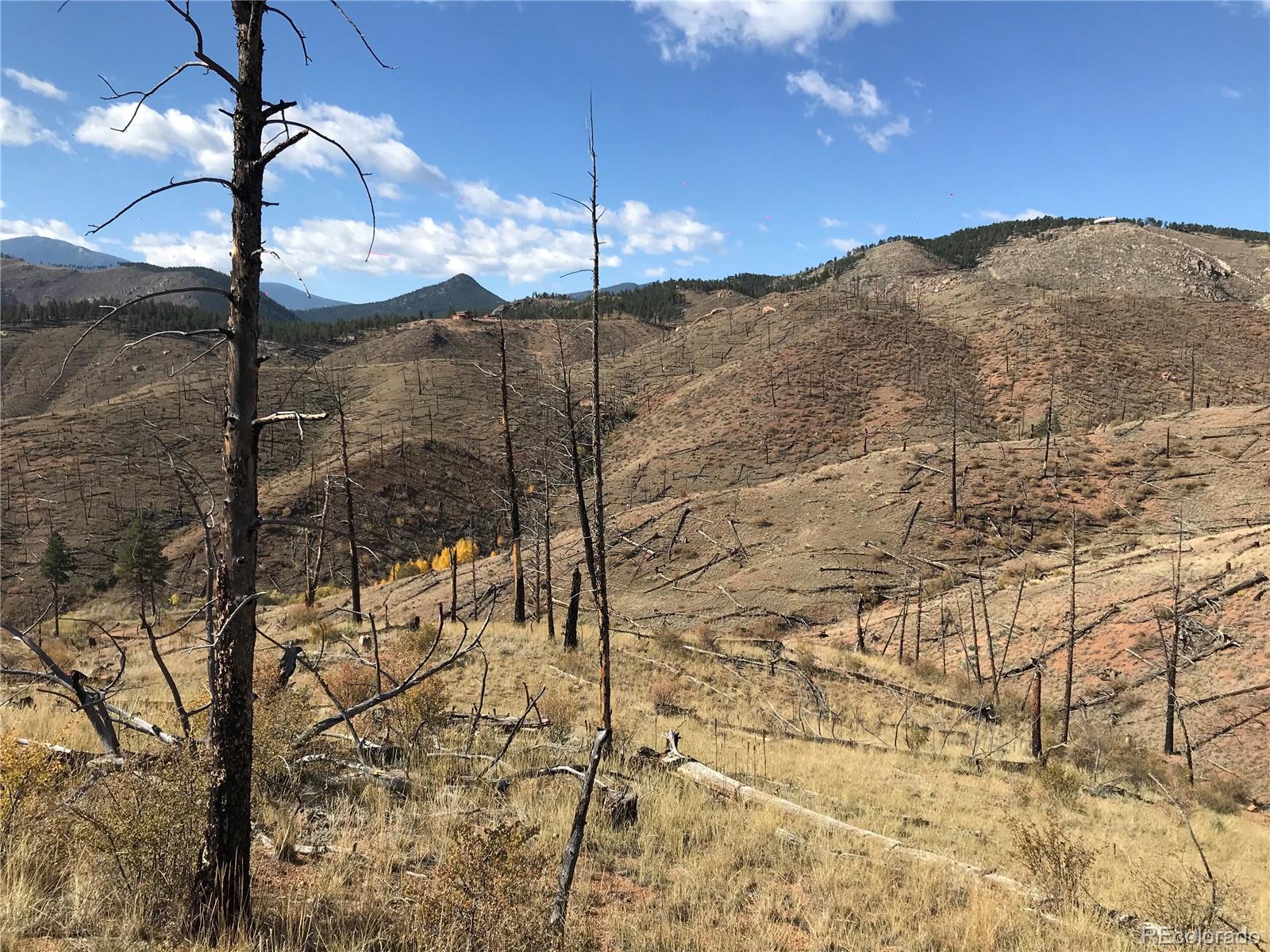 0 Cochise Trail Pine, CO 80470 - Photo 7 of 10